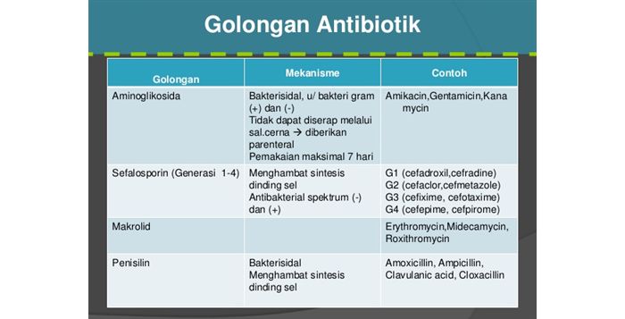 Antibiotik Golongan Sefalosporin: Jenis Antibiotik 