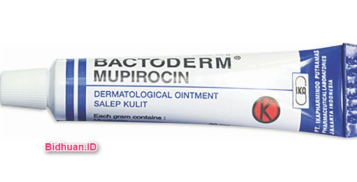 Bactoderm Mupirocin Cream: Obat Salep Antibakteri untuk 