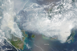 foto satelite kebakaran hutan