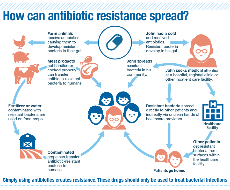 penyebaran antibiotik