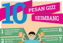 Alasan “Pedoman Gizi Seimbang” Gantikan “4 Sehat 5 Sempurna” Menurut Kemenkes giji seimbang