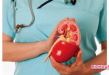 7 Tips Ampuh Bersihkan Ginjal Kotor Secara Alami