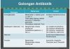 Antibiotik Golongan Sefalosporin Jenis Antibiotik Golongan B-Laktam untuk Terapi Infeksi Bakteri