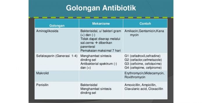 Antibiotik Golongan Sefalosporin Jenis Antibiotik Golongan B-Laktam untuk Terapi Infeksi Bakteri
