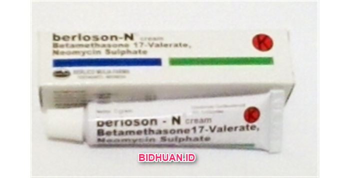 Obat Berloson N: Salep Antibiotik Golongan Kortikosteroid untuk Infeksi Kulit