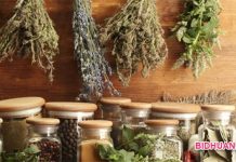 6 Obat Penenang Alami sebagai Pengganti Obat penenang di apotik 6 Obat Penenang Alami sebagai Pengganti Obat penenang di apotik