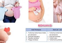 7 Ciri-Ciri Hamil Bayi Laki-Laki yang Akurat secara Medis menurut Dokter dan Mitos 7 Ciri-Ciri Hamil Bayi Laki-Laki yang Akurat secara Medis menurut Dokter dan Mitos