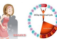 15 Penyebab Haid Tidak Lancar / Tidak Teratur Setiap Bulan 15 Penyebab Haid Tidak Lancar - Tidak Teratur Setiap Bulan