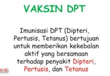 Imunisasi DPT, Apa Fungsi Serta Efek Sampingnya ? Imunisasi DPT - Apa Fungsi Serta Efek Sampingnya