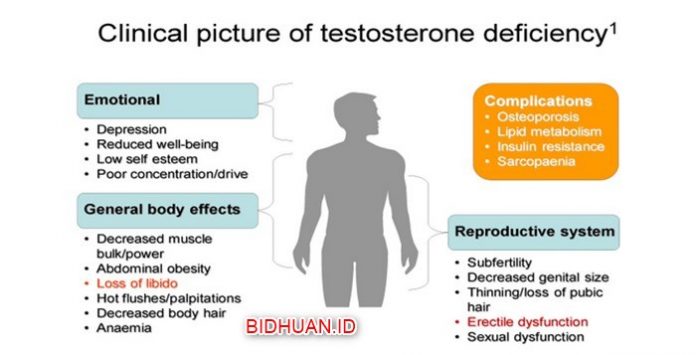 Testosterone deficiency syndrome pada pria