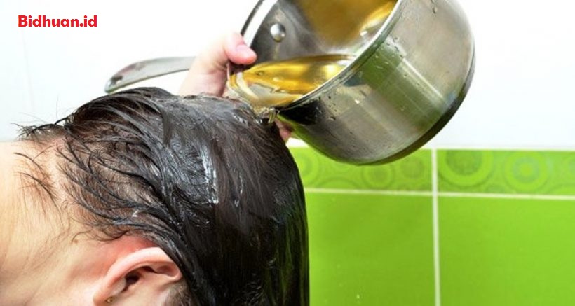 Cara Menghilangkan Kutu Rambut Dengan Minyak Zaitun