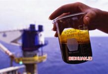 Proses Pembentukan Minyak Bumi dan Gambarnya Setiap Tahapan Proses Pembentukan Minyak Bumi dan Gambarnya Setiap Tahapan