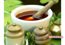 5 Obat Diare Herbal Dan Apotek Paling Mujarab 5 Obat Diare Herbal Dan Apotek Paling Mujarab