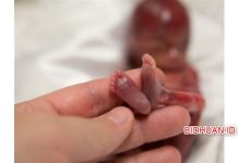 6 Tanda-Tanda Keguguran Paling Sering Ditemui Ibu Hamil 6 Tanda Tanda Keguguran Paling Sering Ditemui Ibu Hamil