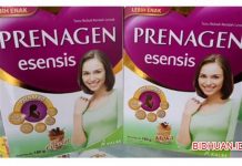 Prenagen Essensis : Susu Program Hamil, Komposisi, Varian Rasa, Bentuk Sediaan, Cara Mengkonsumsi dan Manfaat Prenagen Essensis - Susu Program Hamil, Komposisi Varian Rasa Bentuk Sediaan Cara Mengkonsumsi Keunggulan dan Manfaat