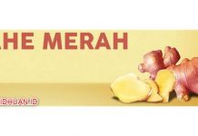 5 Khasiat Jahe Merah Yang Banyak Orang Belum Ketahui 5 Khasiat Jahe Merah Yang Banyak Orang Belum Ketahui