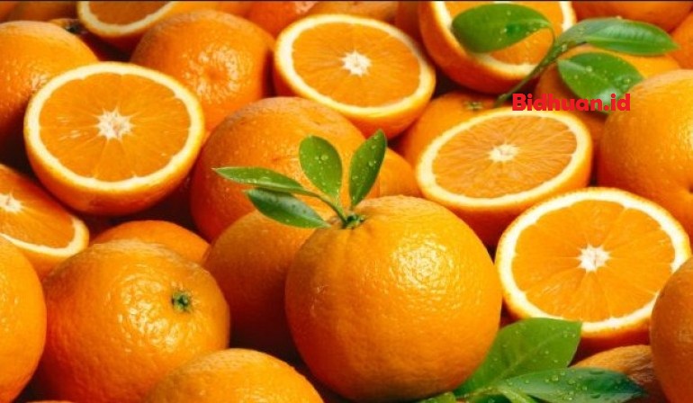 Buah yang bagus untuk ibu hamil yaitu jeruk Buah yang bagus untuk ibu hamil yaitu jeruk