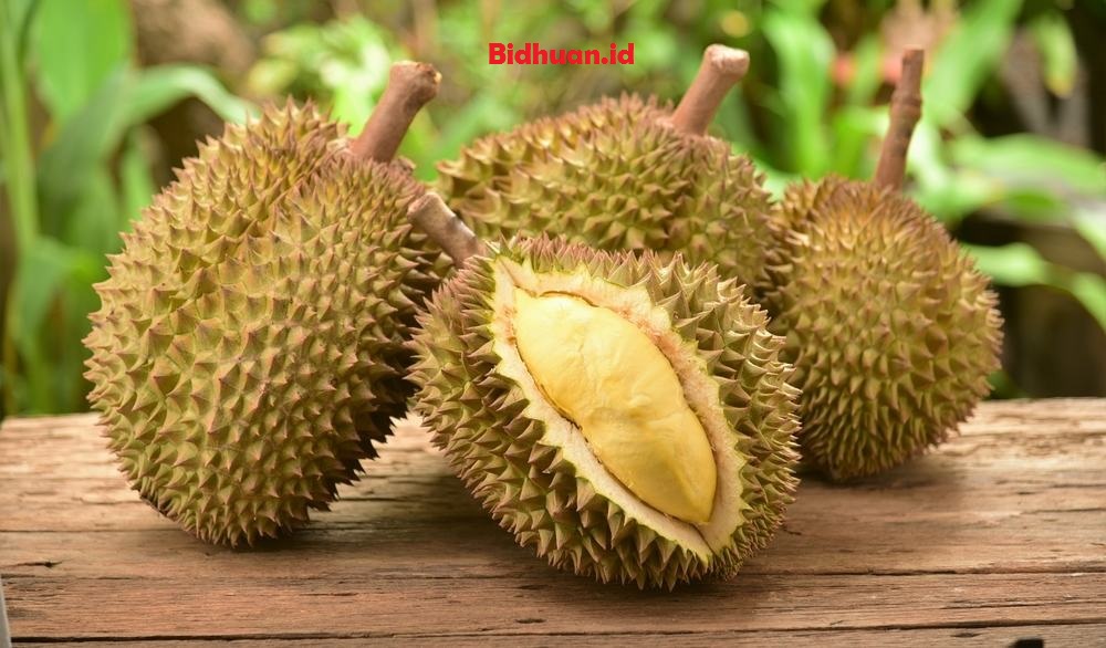 Cara mencegah kehamilan dengan makan durian