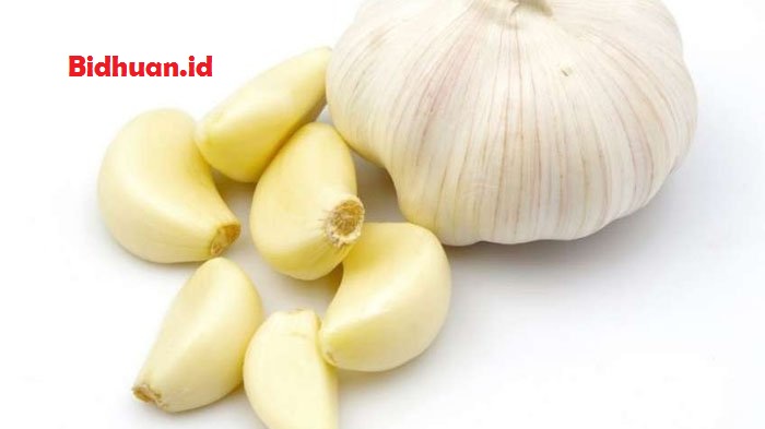 Obat bisul alami cepat sembuh dengan bawang putih