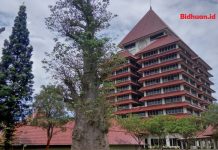 Universitas Indonesia, Peringkat 54 Se Asia