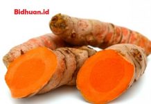 10 Obat Bisul Alami Yang Terbukti Ampuh Dan Cepat Untuk Bisul Membandel Obat bisul anak dengan kunyit
