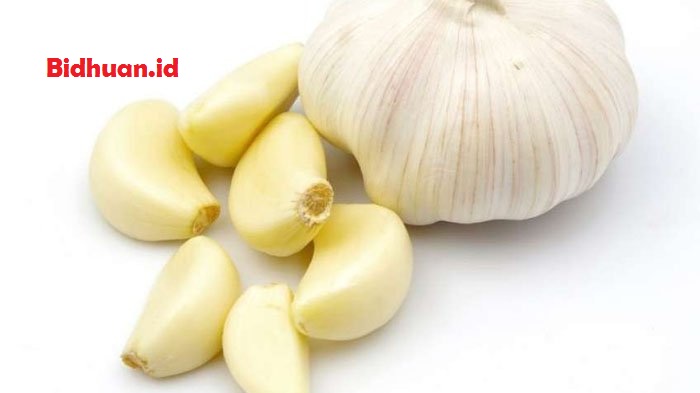 Obat panu alami dengan bawang putih