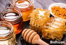 Inilah 15 Manfaat Madu untuk Ibu Hamil yang Wajib Anda Pahami