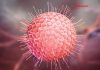 Herpes Zoster adalah Penyakit Karena Varicella Zoster